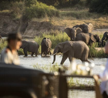 Game drives at Rattray's