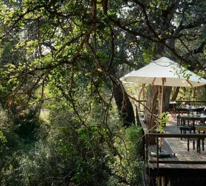 malewane-lodge-at-royal-malewane-thornybush-kruger-banner-_lodge-deck-4