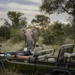 Game drives in a private concession.