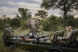 Game drives in a private concession.