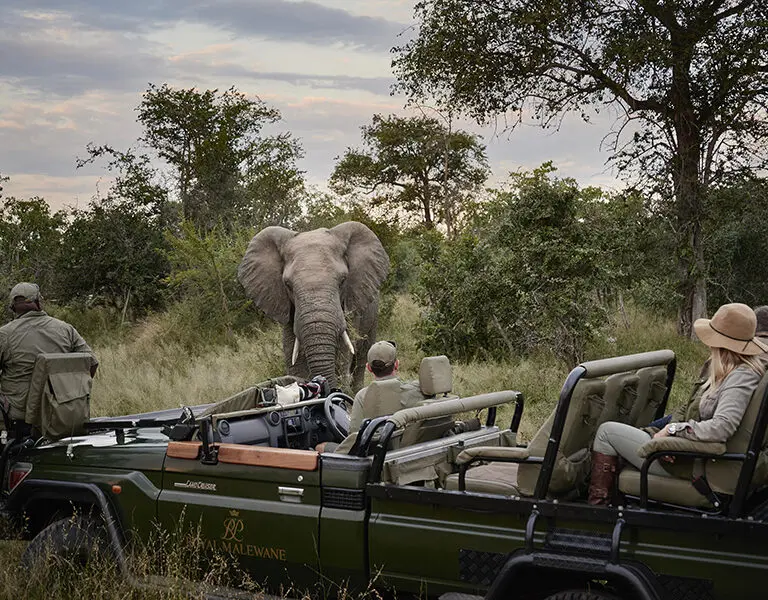 Game drives in a private concession.