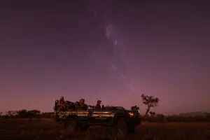 A star safari.