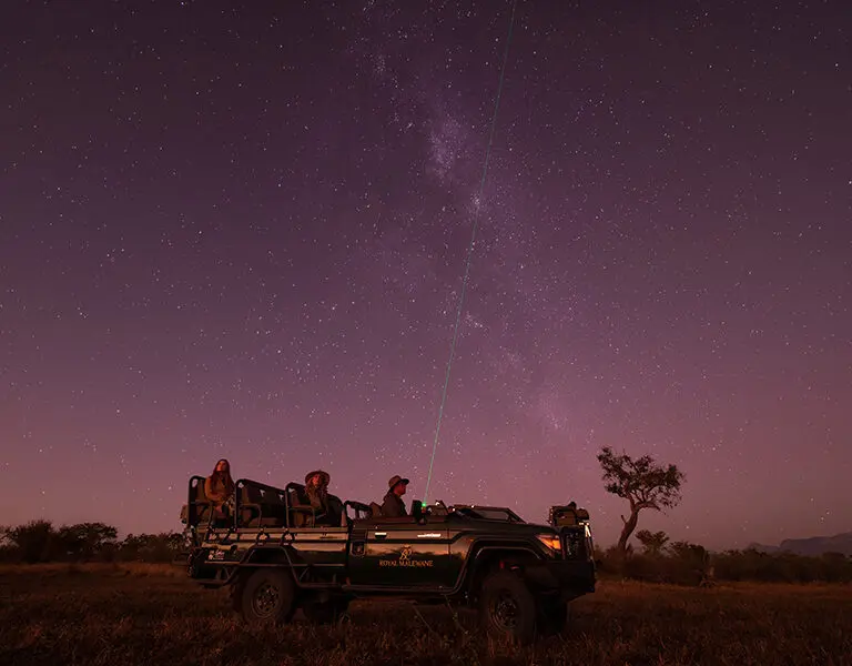 A star safari.