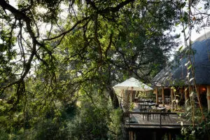 The lodge deck.