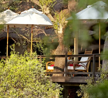 Relax on the lodge deck.