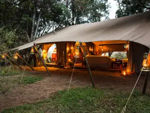  Mara Expedition is an exclusive safari camp hidden away in riverine forest.