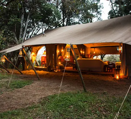  Mara Expedition is an exclusive safari camp hidden away in riverine forest.