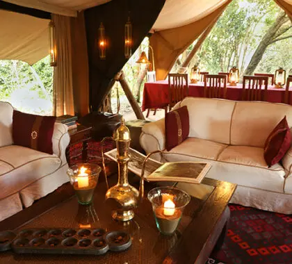 Relax between safari activities with a book from the library.