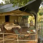 The well spaced tents are based on a forested bend of the Talek River which offers a beautiful view