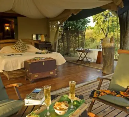 Disfrute de la tranquilidad de la naturaleza con una copa de vino en su terraza privada