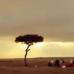 Enjoy a relaxed dining experiences in the heart of the Masai Mara, one of our top Kenyan moments.