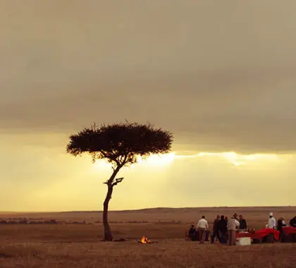 Disfrute de una relajada experiencia gastronómica en el corazón del Masai Mara, uno de nuestros mejores momentos keniatas.