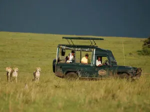 Game drives are normally conducted in 4x4 vehicles with pop-up roofs.