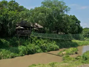 The walkway at Mara Intrepids offers beautiful views of the river and surrounding landscape.