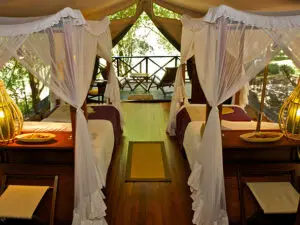 The rooms can be configured in twin-bed conformation for children.