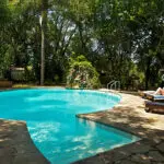 Enjoy a lazy afternoon next to the swimming pool before heading out on your afternoon safari activity.