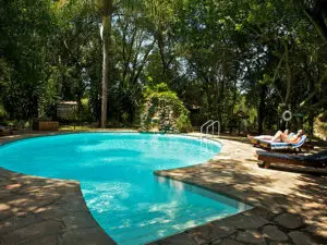 Enjoy a lazy afternoon next to the swimming pool before heading out on your afternoon safari activity.
