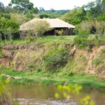 Overlooking a hippo pool, Ngenche Camp is ideal for seasoned safari travellers & adventurous newcomers alike.

