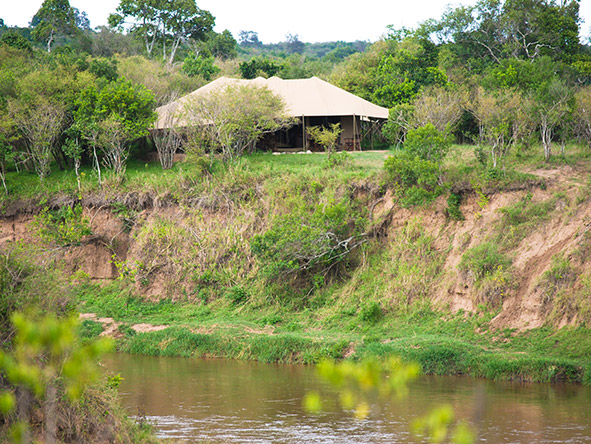 Overlooking a hippo pool, Ngenche Camp is ideal for seasoned safari travellers & adventurous newcomers alike.
