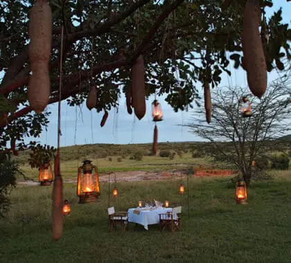 Jantar privado rodeado de lanternas. 
