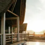 Spot wildlife right from your suite.