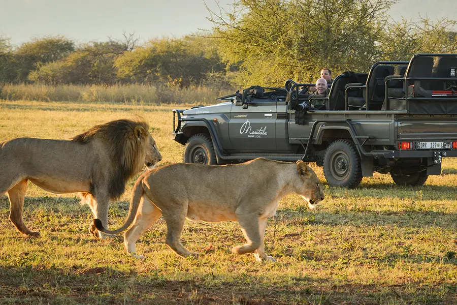 Game drives.