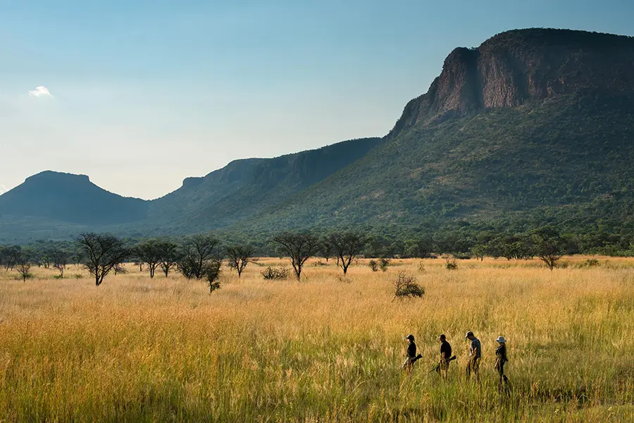 Guided walks through the African wilderness.