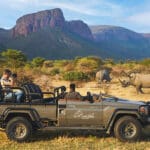 Excepcional avistamiento de animales.