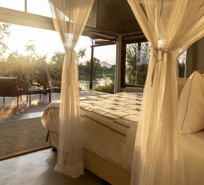 Comfortable suites with views of the reserve.