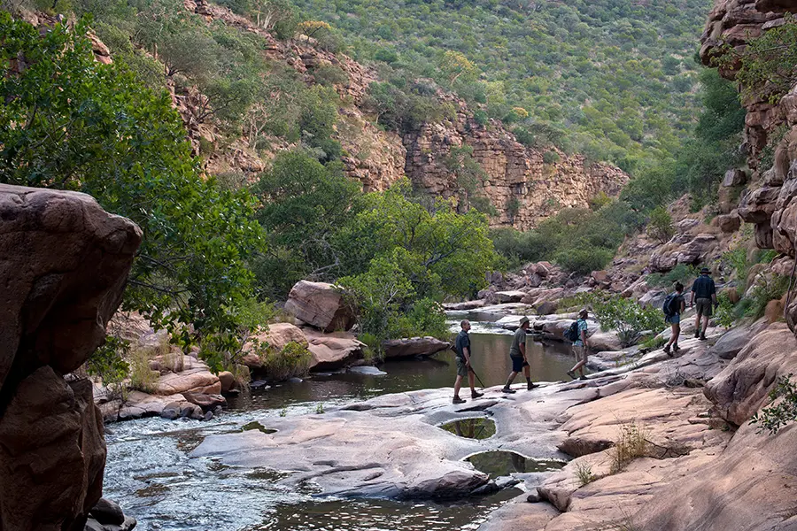 Walk through the African wilderness.