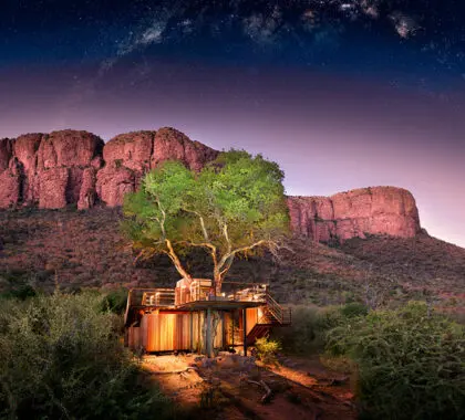 Casa del árbol Thabametsi.
