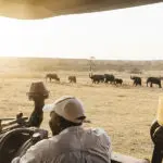 Game drives in Matetsi Private Game Reserve.