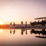 A game drive near Victoria Falls | Matetsi Victoria Falls