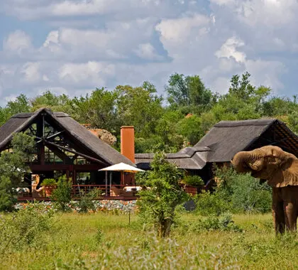 Mateya_Safari_Lodge_exterior