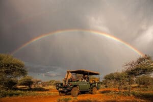 Safari con un arco iris de fondo