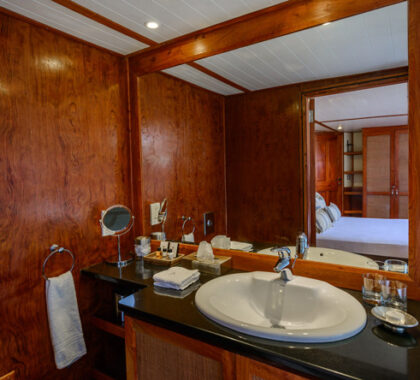 Matusadona Lake Luxury Cruiser, en-suite bathroom