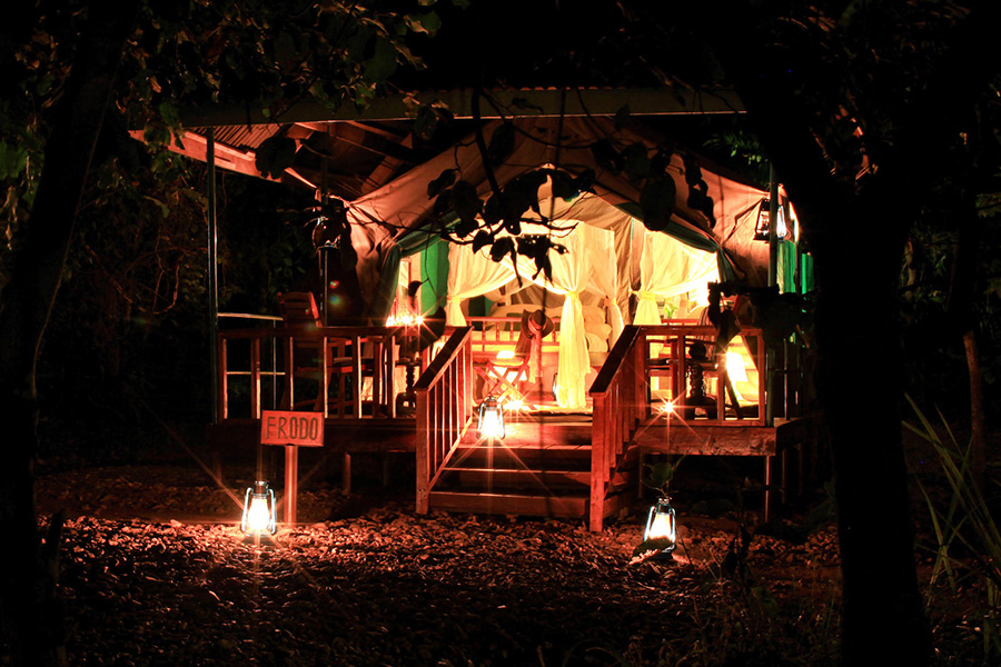 Gombe lodge's tented suites are set in the lakeside forest - a camp staff member will escort you after dark!

