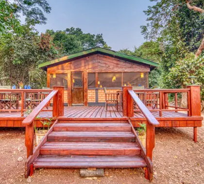 Welcome to Gombe Lodge
