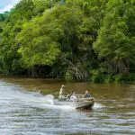 Boat excursions offered at Mboko Camp.