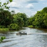 Recorrer largas distancias a través de la densa jungla y observar la fauna que se acerca al río a beber es una forma estupenda de navegar.