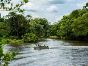Recorrer largas distancias a través de la densa jungla y observar la fauna que se acerca al río a beber es una forma estupenda de navegar.
