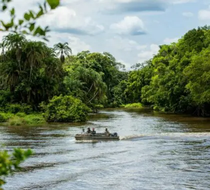 Recorrer largas distancias a través de la densa jungla y observar la fauna que se acerca al río a beber es una forma estupenda de navegar.