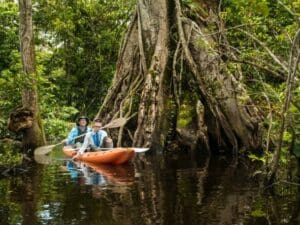 En piragua, podrá adentrarse en el corazón del bosque a través de estrechas vías fluviales y canales.