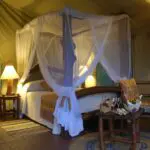 The luxuries canvas tents gives you the feeling being close to nature.
