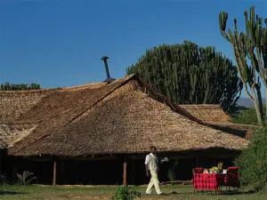Bordering Lake Nakuru National Park, Mbweha Camp sits in a private concession.