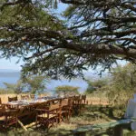Shaded by giant acacia trees, lunch is served with panoramic Lake Nakuru views.