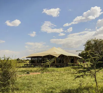 Tienda comedor del campamento Porini Lion.