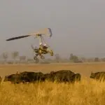 Les vols en ULM au-dessus du parc national se déroulent dans la douce lumière de l'aube.