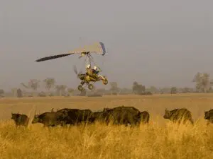 Thrilling microlight flights over the national park take off in the soft light of dawn.