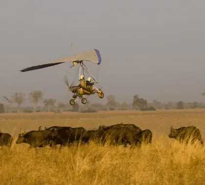 Thrilling microlight flights over the national park take off in the soft light of dawn.